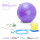 ProCircle Yoga Ball Office Chair Home Gym Workout Exercise Aid