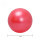 ProCircle Anti Burst Yoga Ball in Gym Home Exercise