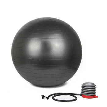 ProCircle Therapy Yoga Ball Exercise Ab Workout