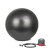 ProCircle Therapy Yoga Ball Exercise Ab Workout