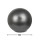 ProCircle Therapy Yoga Ball Exercise Ab Workout