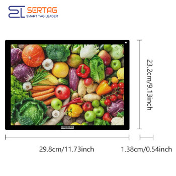 WiFi 13.3 inch Wireless Color Electronic Price Labeling Solution for Warehouse Big E ink Smart Label