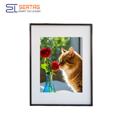 13.3 inch E-ink Picture Frame Color E-paper Photo Frame