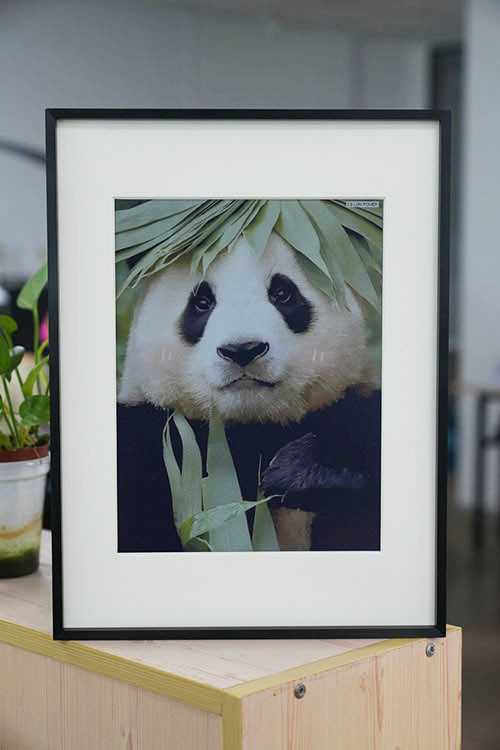 e-paper picture frame