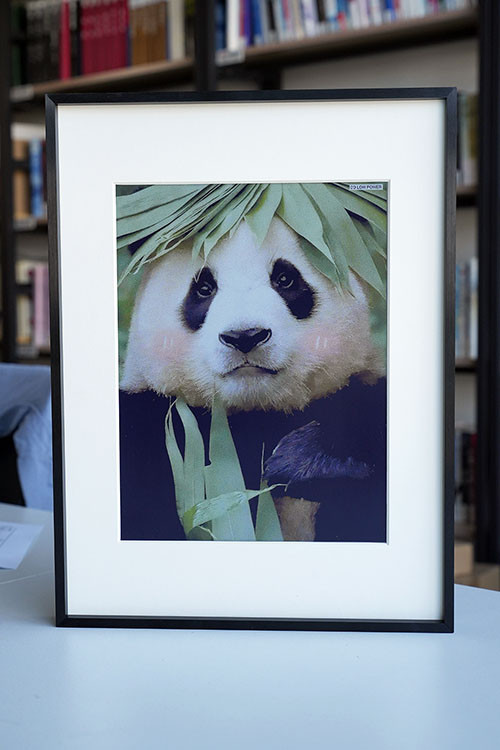 color e-paper photo frame