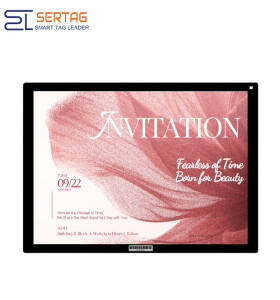 WiFi 13.3 inch Conference Room Digital Signage Type-C Charging Color E-ink Electronic Label