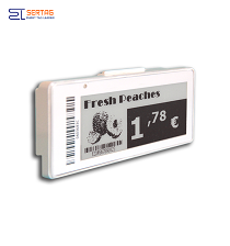2.9 inch digital price tag E-ink Electronic Shelf Label with black and white