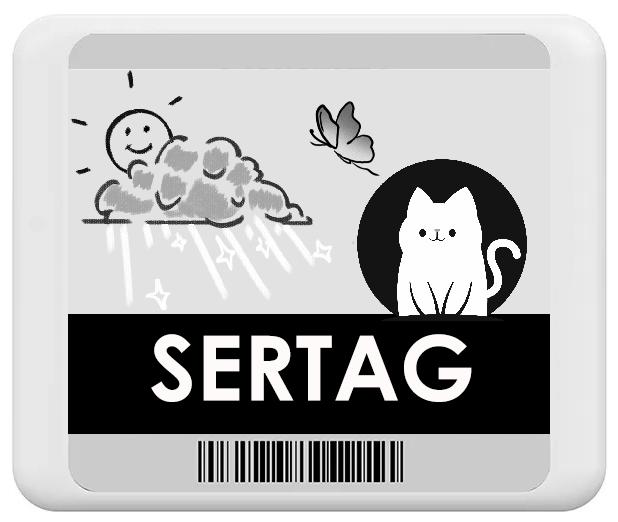 4.2 inch electronic shelf label display