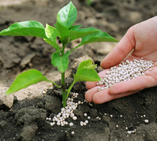 What is the difference between agricultural grade, feed grade and industrial grade magnesium sulfate?