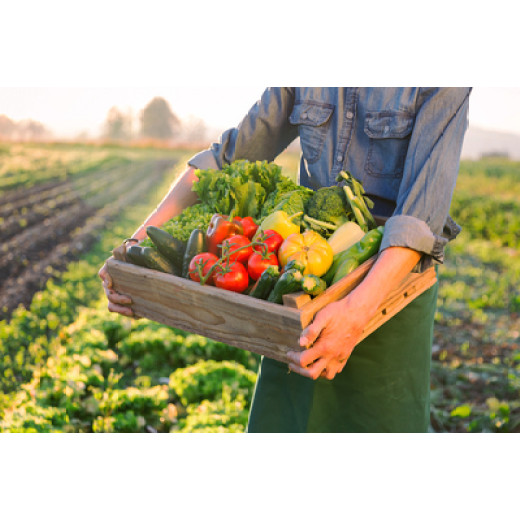 How Magnesium Sulfate Fertilizer Should Be Used And What It Does