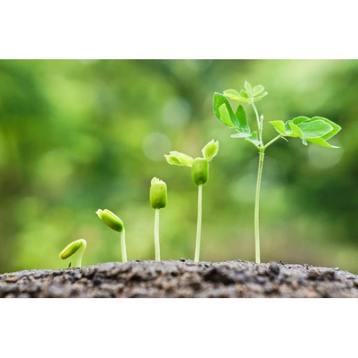 Benefits of Ammonium Sulphate