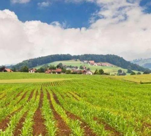 Industrial use of zinc sulfate Ⅱ