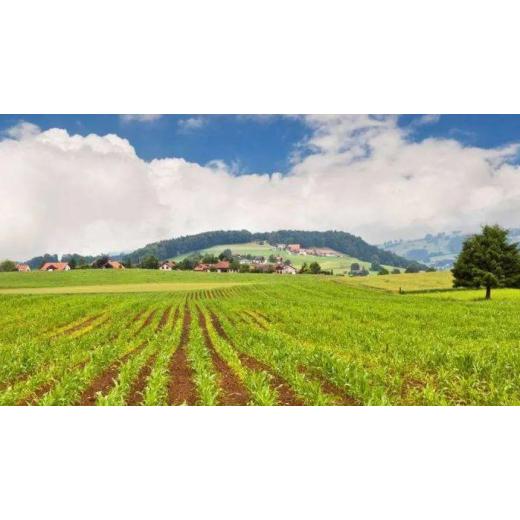 Industrial use of zinc sulfate