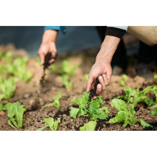 Phosphate fertilizer export quotas for 2024 have been announced and a large number of exports are expected! By:Danny