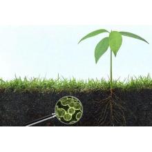 Comprehensive Effects Of Humic Acid's Multiple Functions BY:Lydia