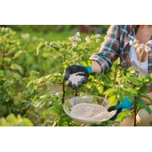 What is organic fertilizer? What are the benefits of using organic fertilizer to grow vegetables? BY:Cynthia