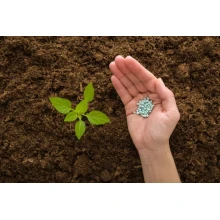 What kind of fertilizer is magnesium fertilizer? What are the magnesium fertilizers? What are the functions and effects of magnesium fertilizers?  BY:Cynthia