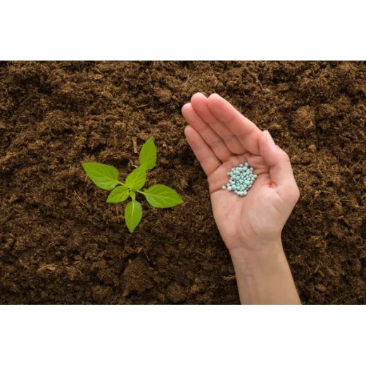 What kind of fertilizer is magnesium fertilizer? What are the magnesium fertilizers? What are the functions and effects of magnesium fertilizers?  BY:Cynthia
