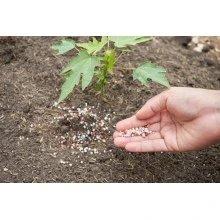 The effect of magnesium fertilizer on plants Can magnesium fertilizer and potassium fertilizer be used together? BY:Cynthia