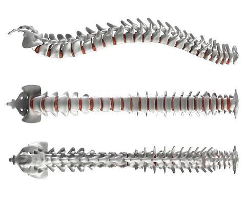 Do you know all uses of wollastonite?-4 BY:Danny