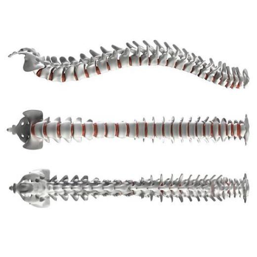 Do you know all uses of wollastonite?-4 BY:Danny