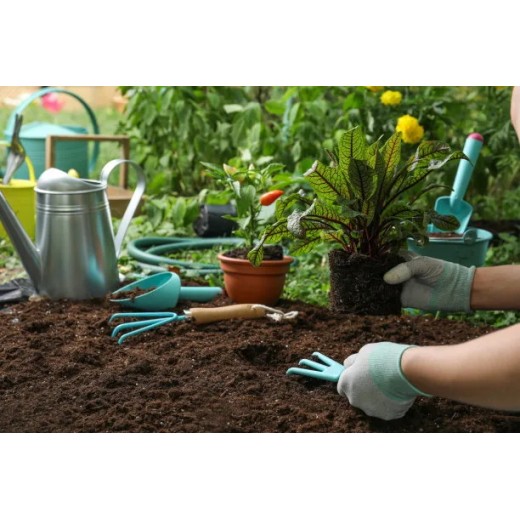 Impact of Spring Ploughing on Urea in China BY:Cherry