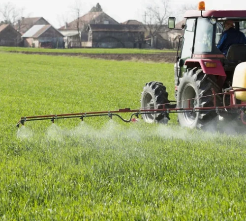 Nitrate nitrogen and ammonium nitrogen BY:Cherry