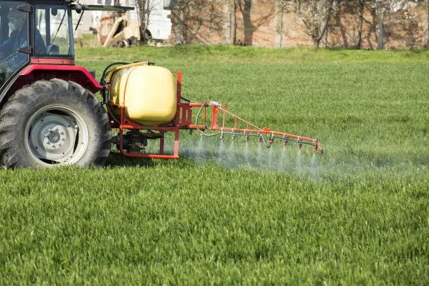 ‌How Do Magnesium-Based Fertilizers Enhance Phosphorus Availability in Global Agriculture? BY:Cynthia