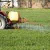 ‌How Do Magnesium-Based Fertilizers Enhance Phosphorus Availability in Global Agriculture? BY:Cynthia