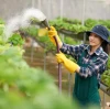 Urea fertilizer, are you really using it correctly? BY:Cherry