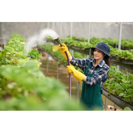 Urea fertilizer, are you really using it correctly? BY:Cherry