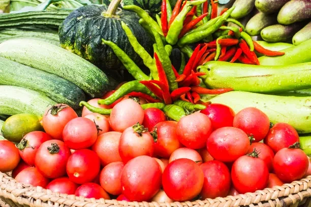 How to use granular organic fertilizer? Will granular organic fertilizer burn the roots? BY:Cynthia