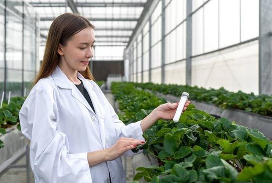 Do you still think urea can only be used for farming? Come and take a look at what other uses urea has! BY:Binny