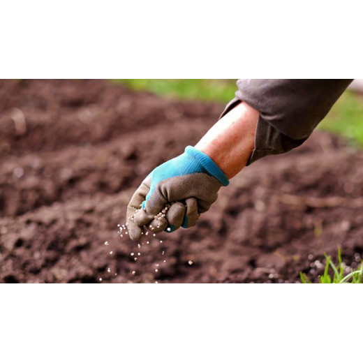 Which Fertilizers Need Magnesium Oxide? BY:Cynthia