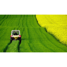 Magnesium Sulphate Market Trends Driven by Global Agriculture