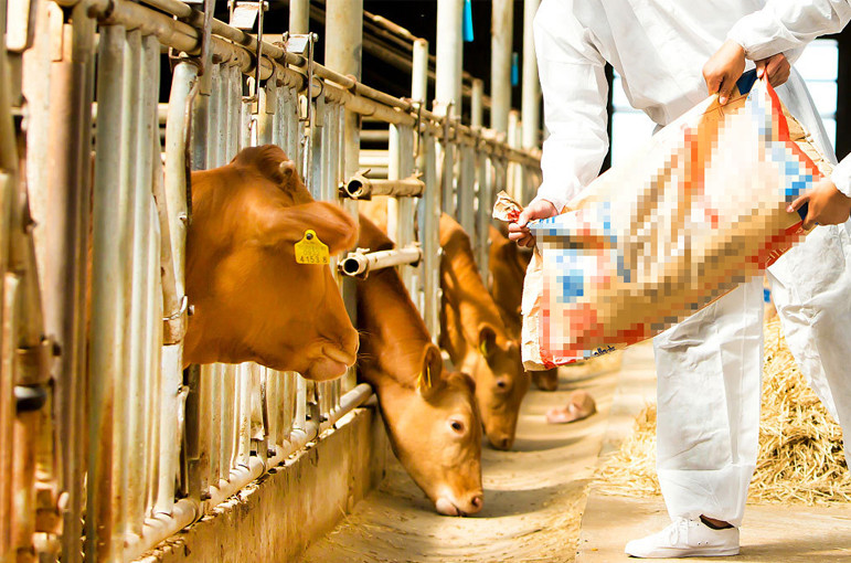 magnesium for livestock