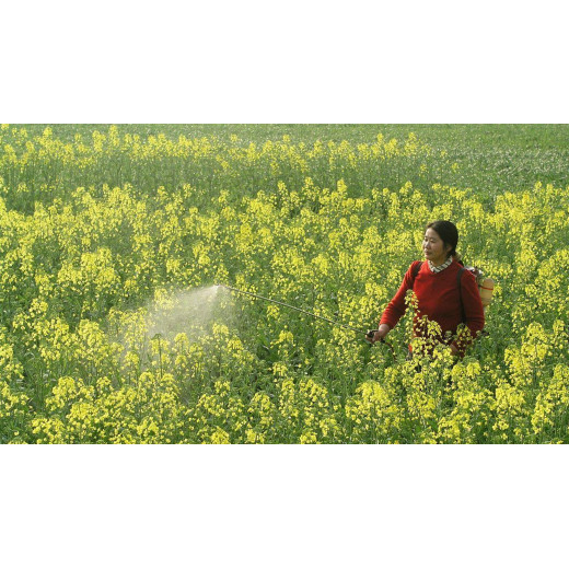 The main agricultural applications of magnesium oxide granules BY:Danny