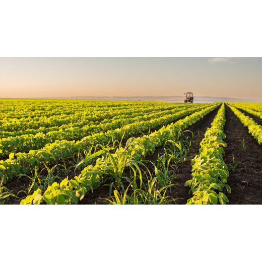 The main agricultural applications of magnesium oxide granules  BY:Danny