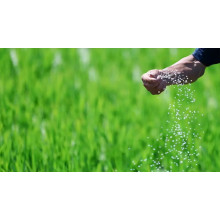 Global Demand for Magnesium Sulphate Fertilizer Rises