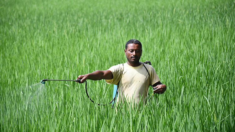 Magnesium Sulphate Monohydrate Gains Fertilizer Demand