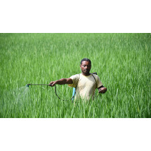 Magnesium Sulphate Monohydrate Gains Fertilizer Demand