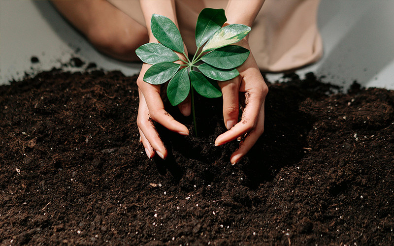 Soil Conditioning