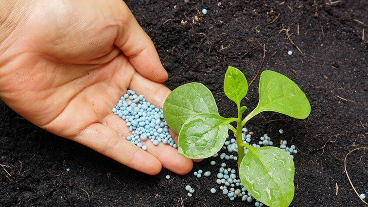 Magnesium Sulphate Fertilizer Demand Surges Globally