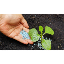 Magnesium Sulphate Fertilizer Demand Surges Globally