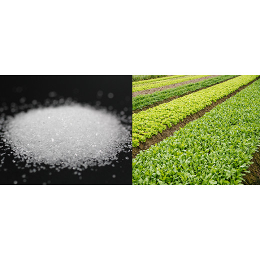 The Magnesium Fertilizer Market in 2026: Trends, Prices, and Opportunities