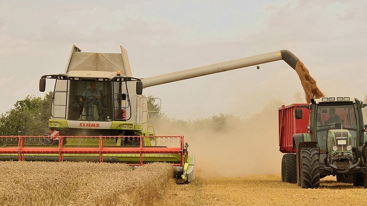Kieserite Blends Gain Traction in South Asian Fertilizer