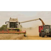 Kieserite Blends Gain Traction in South Asian Fertilizer