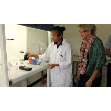 Mid-Year Quality Review: Inspecting Magnesia Shipments
