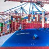 HOLY 2026: A Year in Export Markets