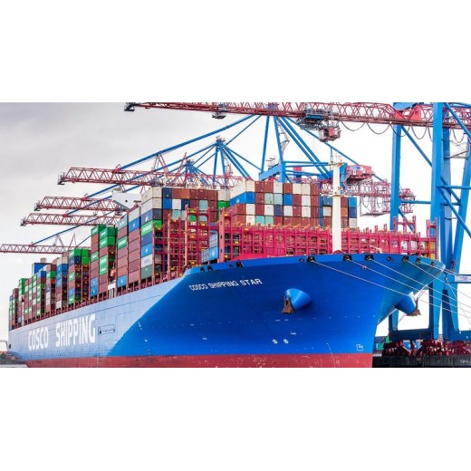 HOLY 2026: A Year in Export Markets
